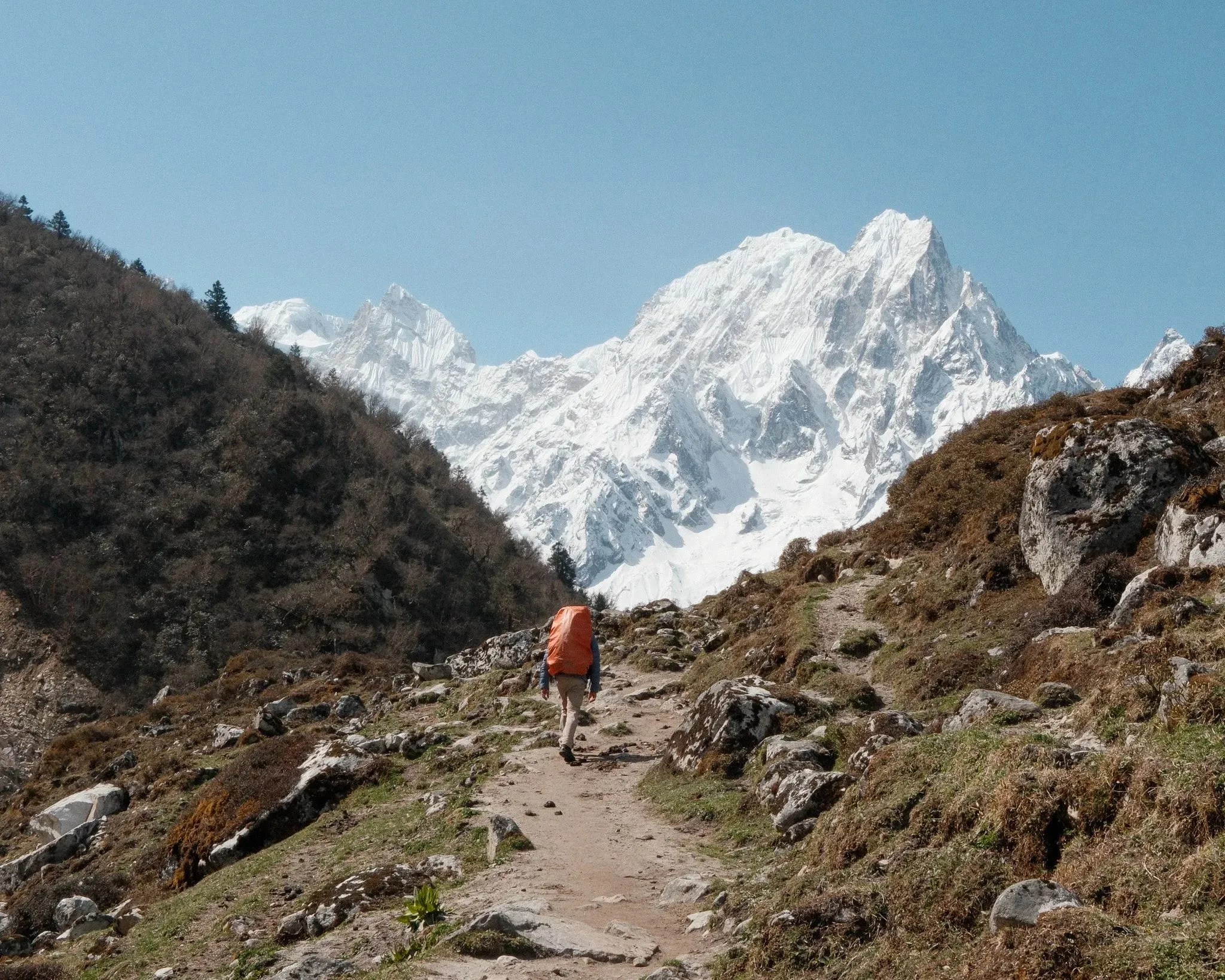 A trekker with a red pack on a dirt trail heading towards a snow-covered peak near Bimthang