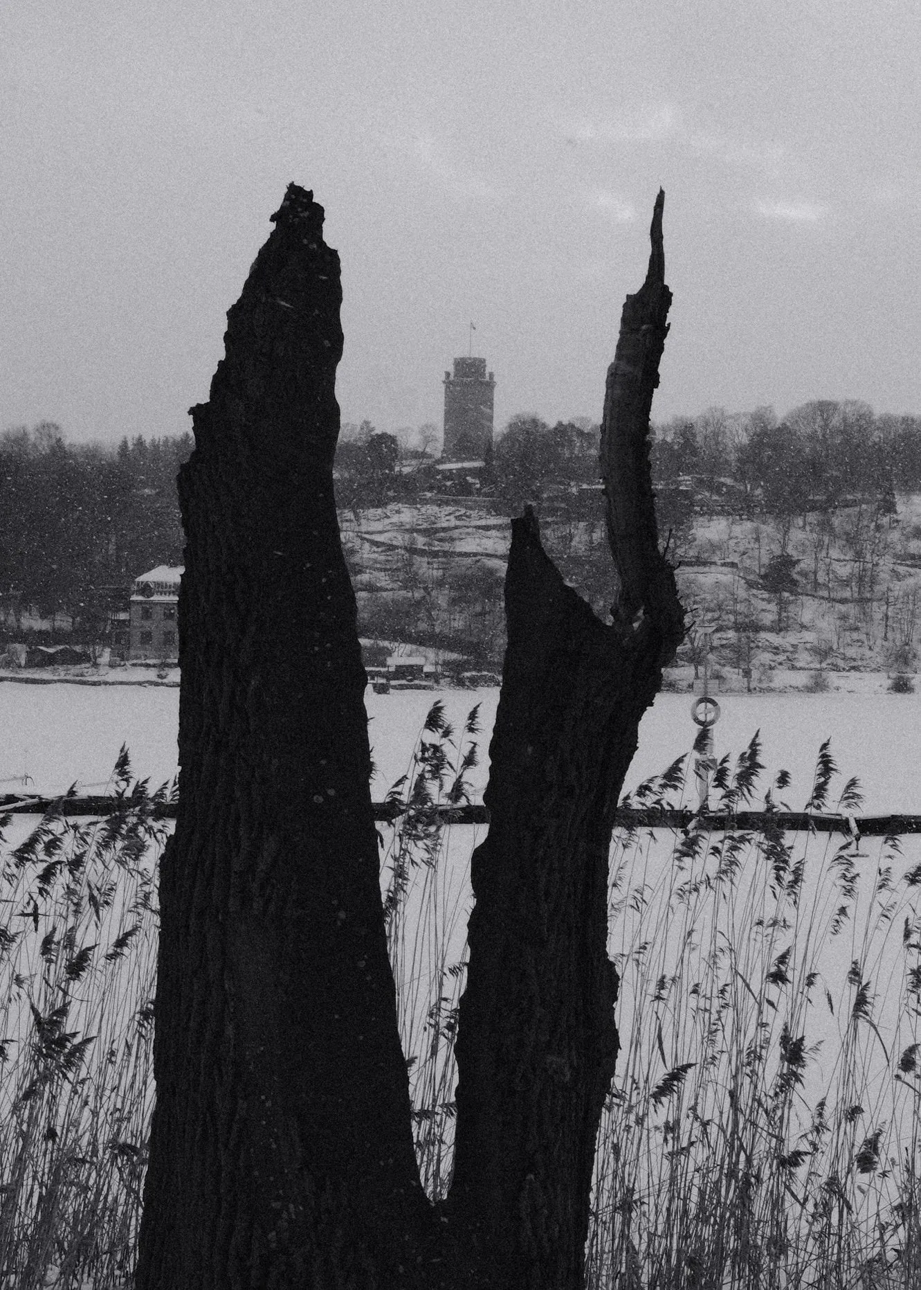 Black and white photo of Djurgården, Stockholm