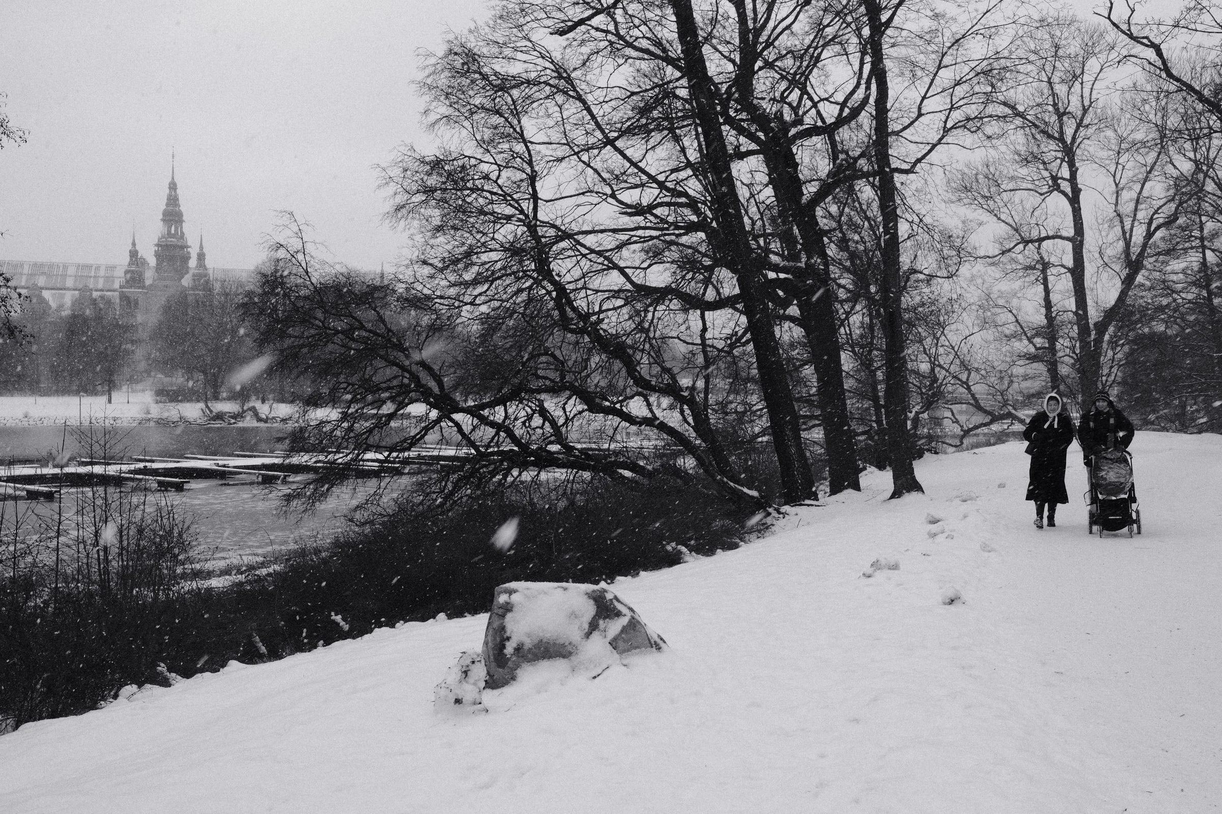 Black and white photo of people walking through Djurgården