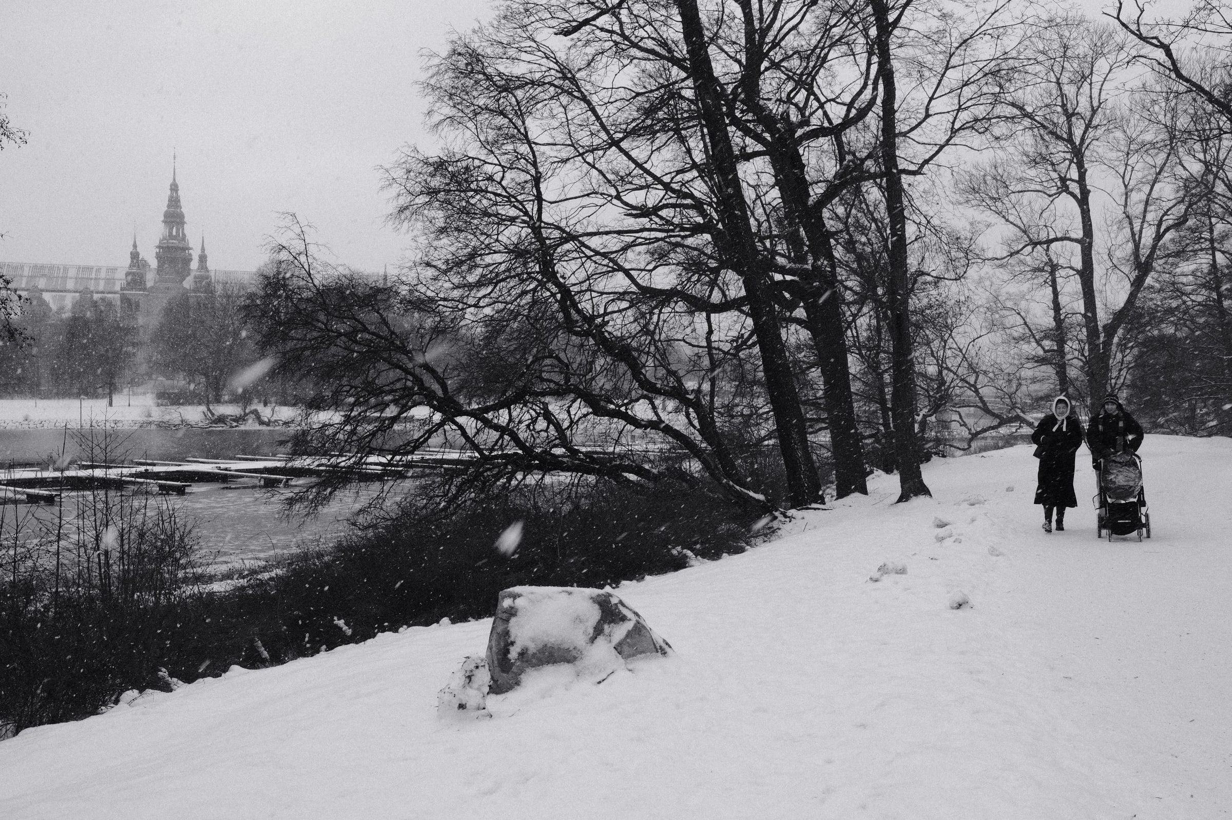 Black and white photo of people walking through Djurgården