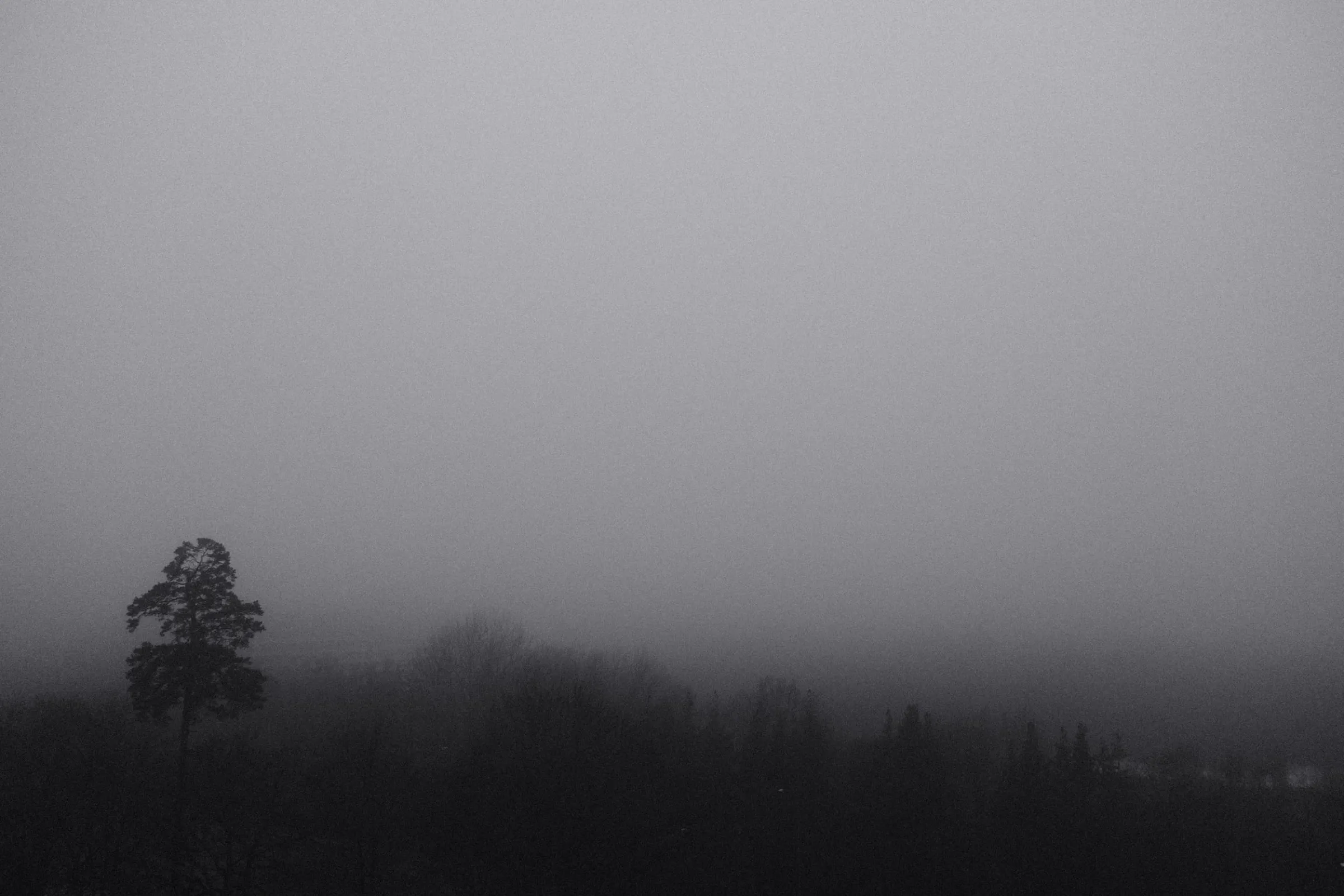 Black and white photograph of a foggy landscape in Huvudsta