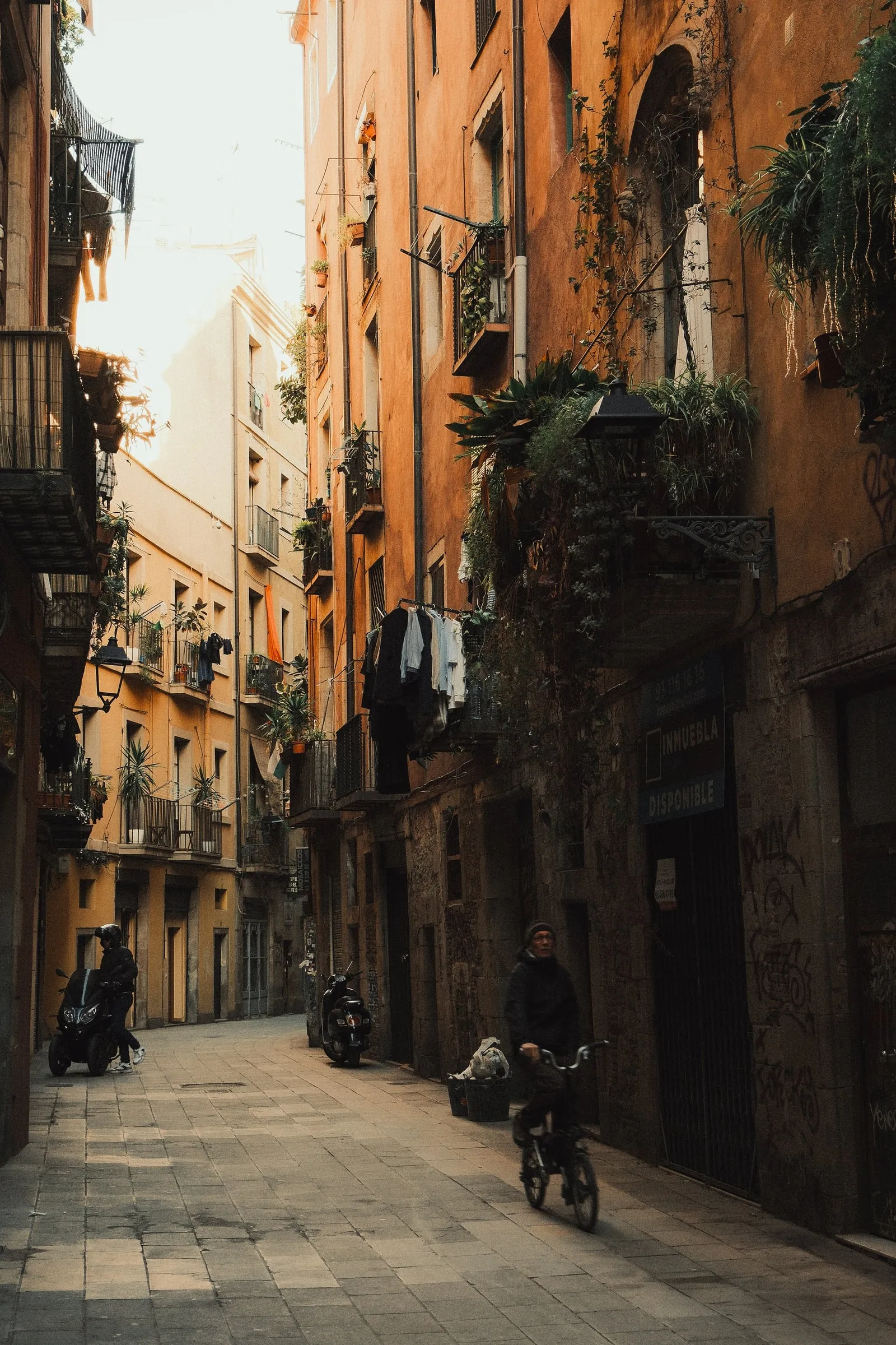 A cyclist rides down a narrow sunlit street lined with balconies in Barcelona’s Born District