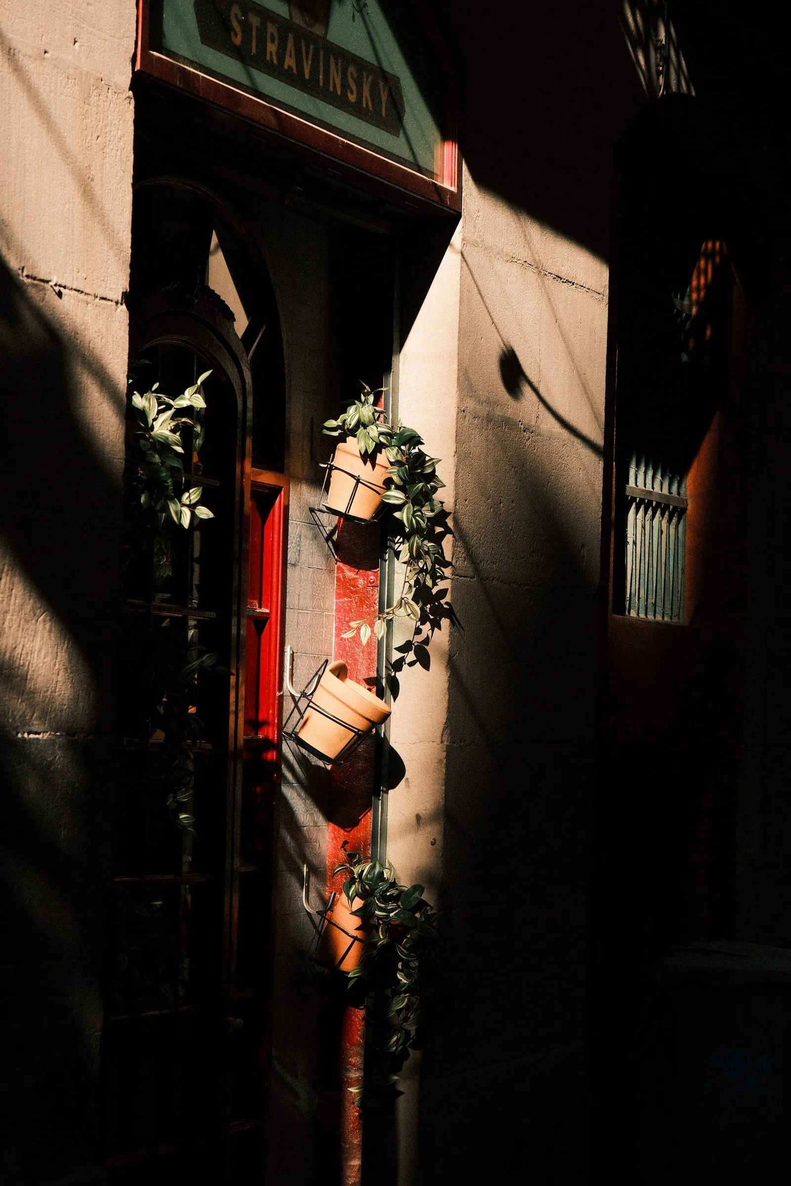 Potted plants hanging beside a red doorway under a Stravinsky sign in a shaded alley