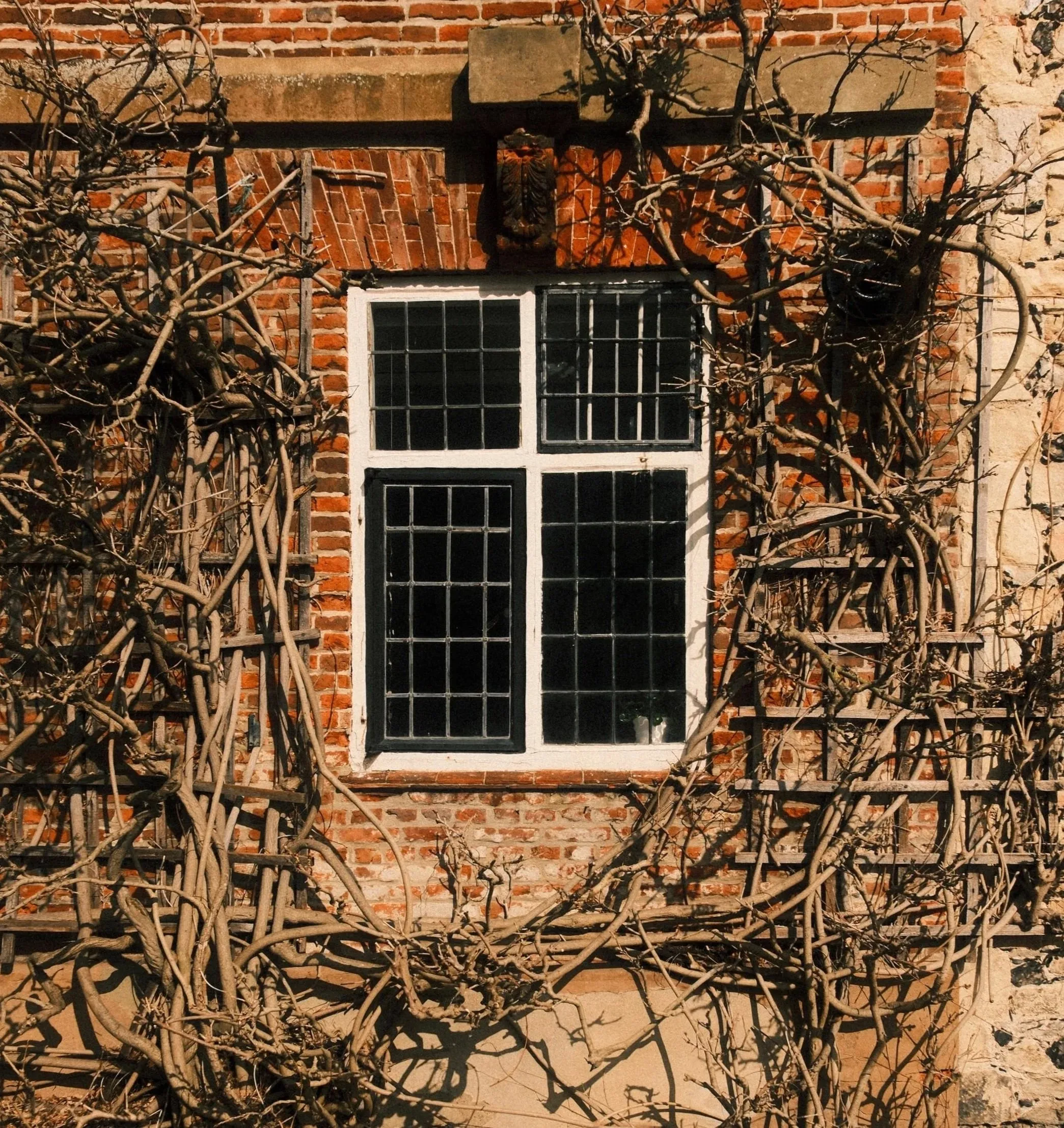 A leaded window in a red brick wall wrapped in bare wisteria branches