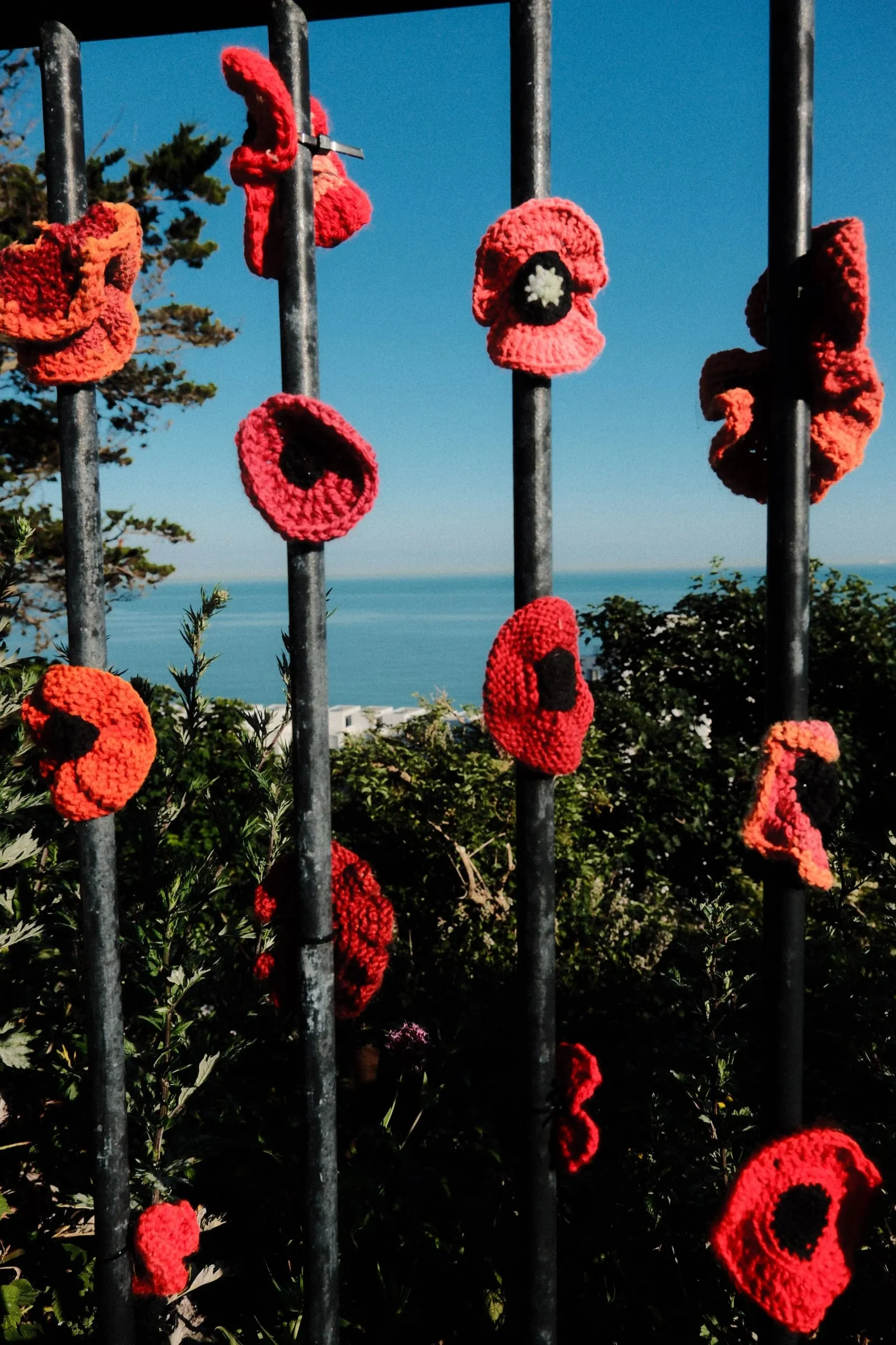 Crocheted red poppies tied to black railings, with the sea behind