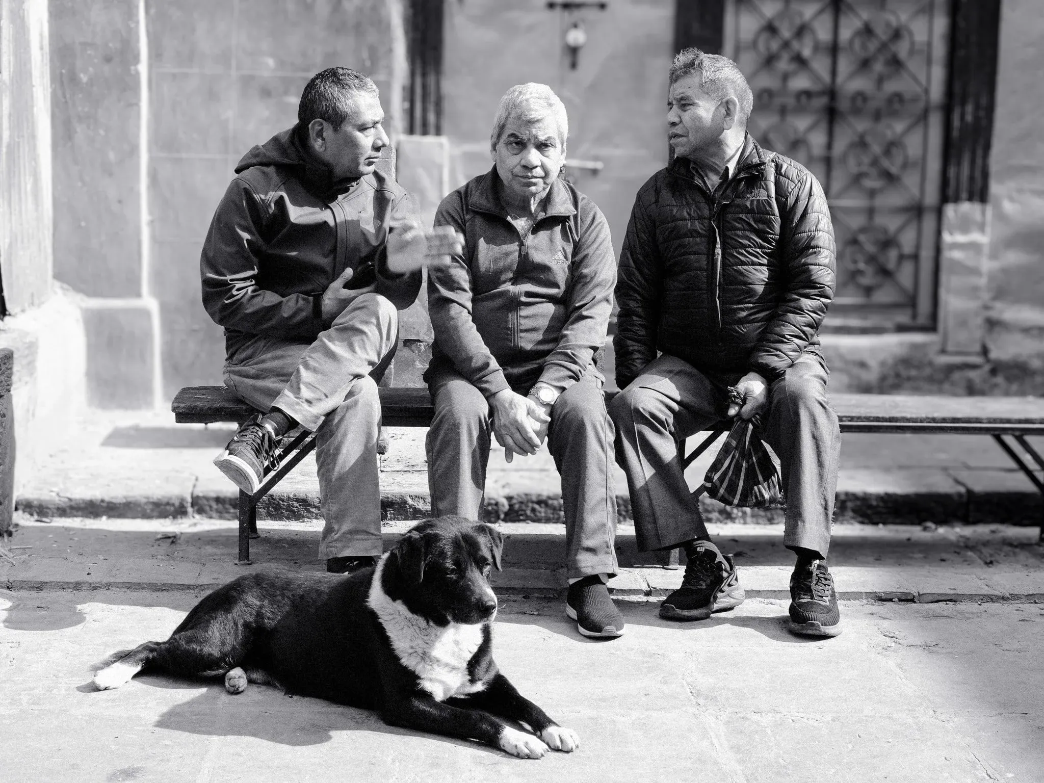 Black and white photo of three men talking on a bench with a dog lying in front of them