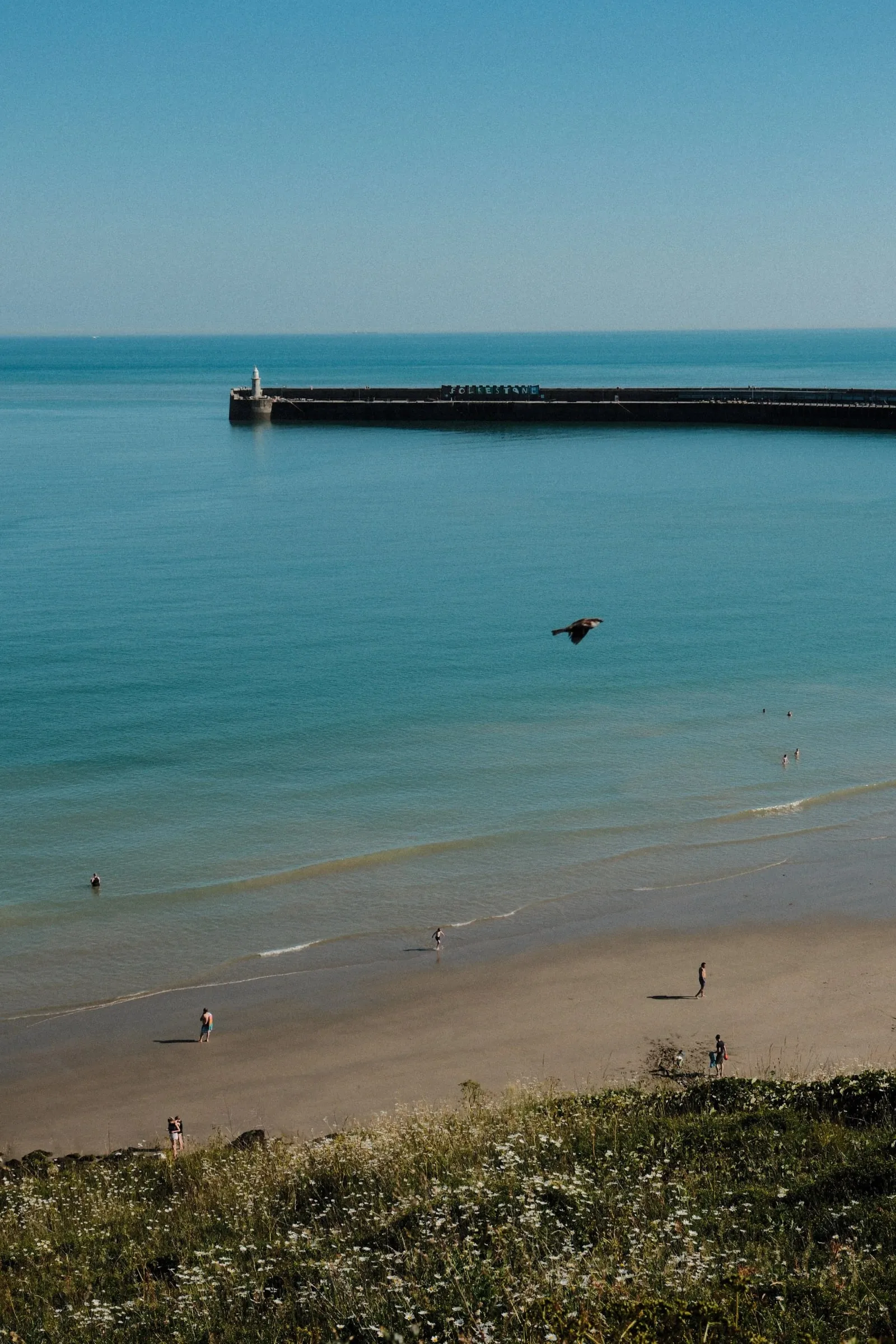 The beach and harbour arm seen from the clifftop, with a bird flying over the sea