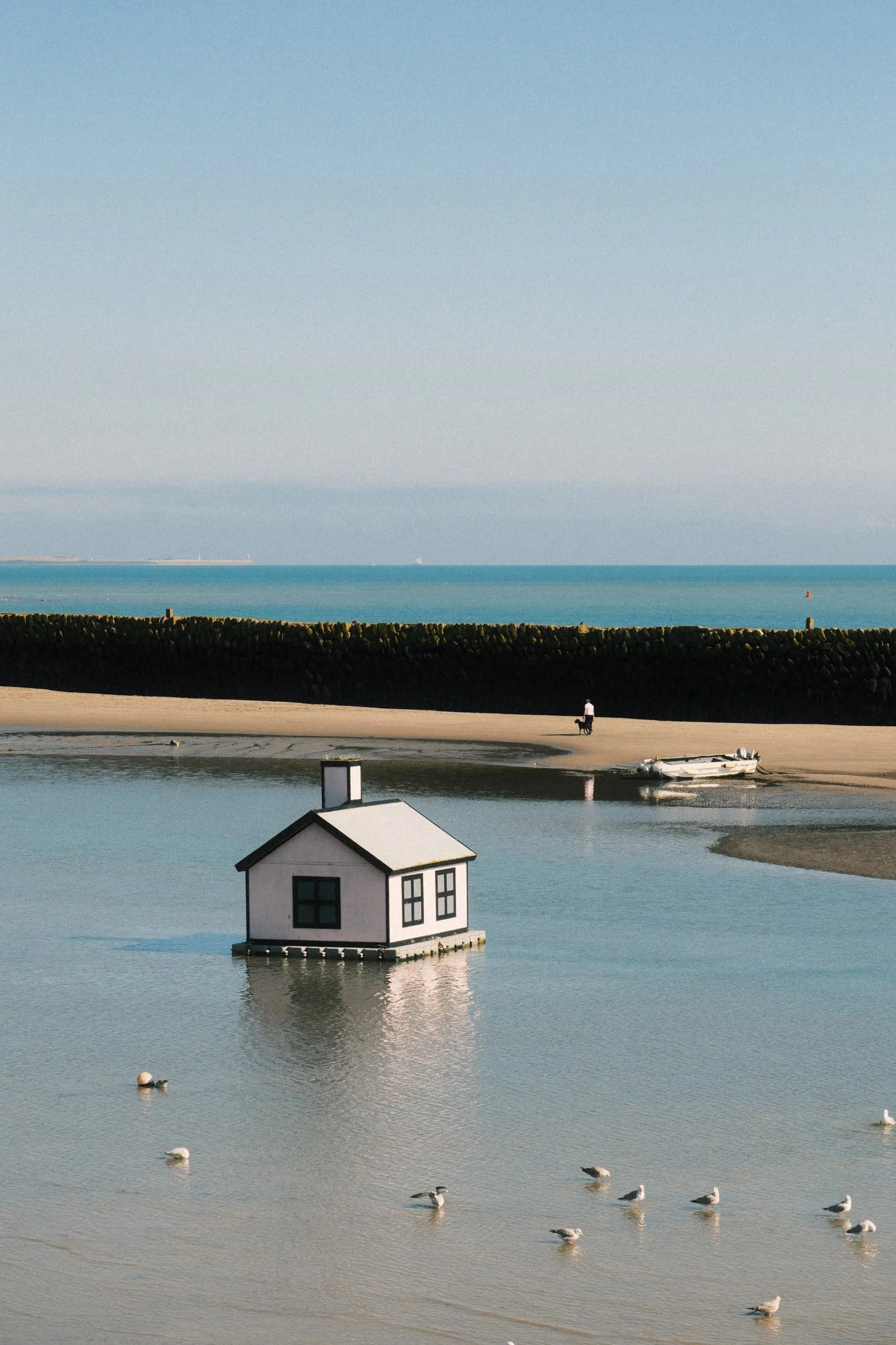 A small house standing in the shallow water of the harbour, with gulls nearby