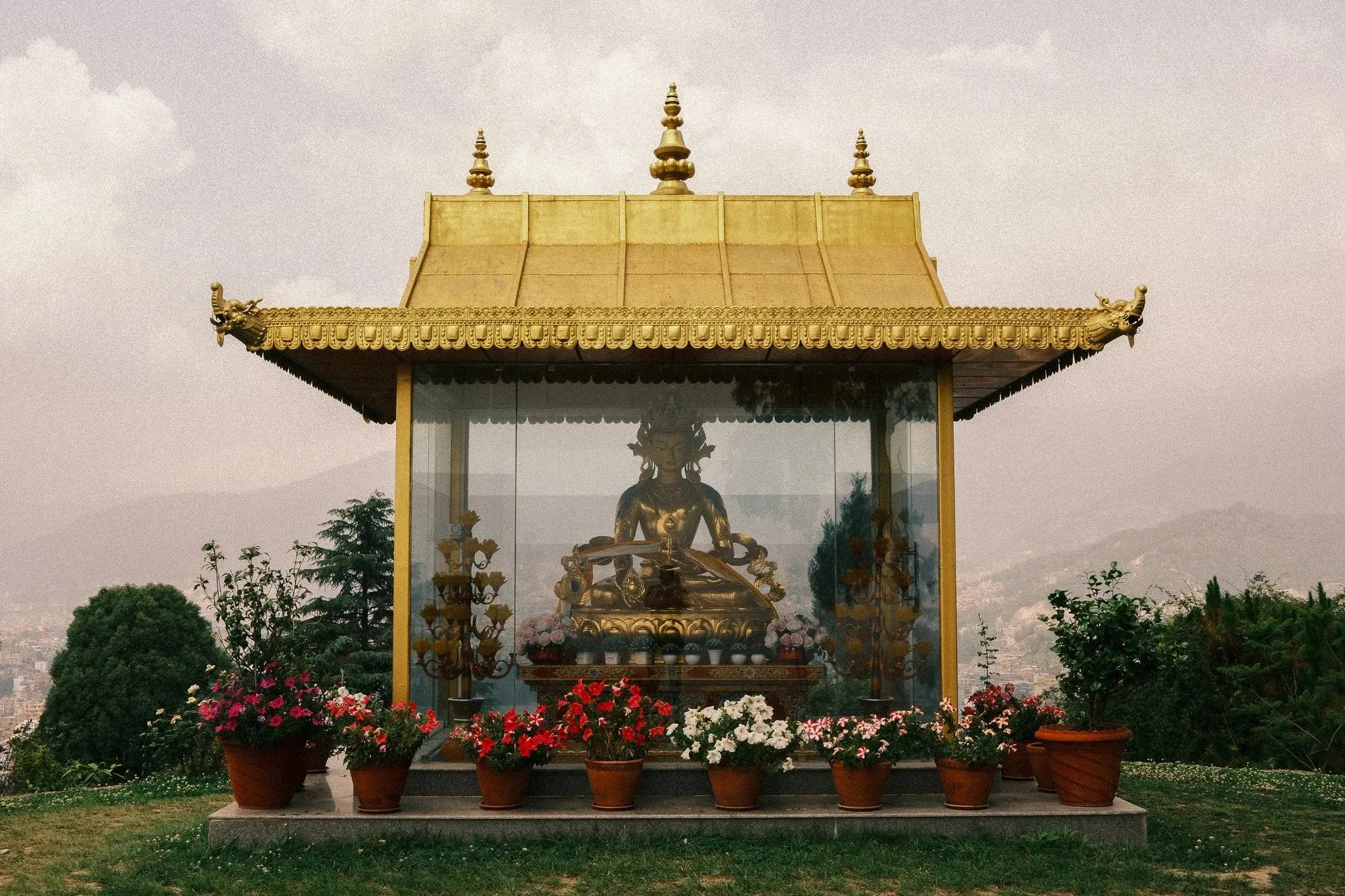 A Buddha statue inside a glass shrine with a golden roof, surrounded by potted flowers on the hill at Kopan