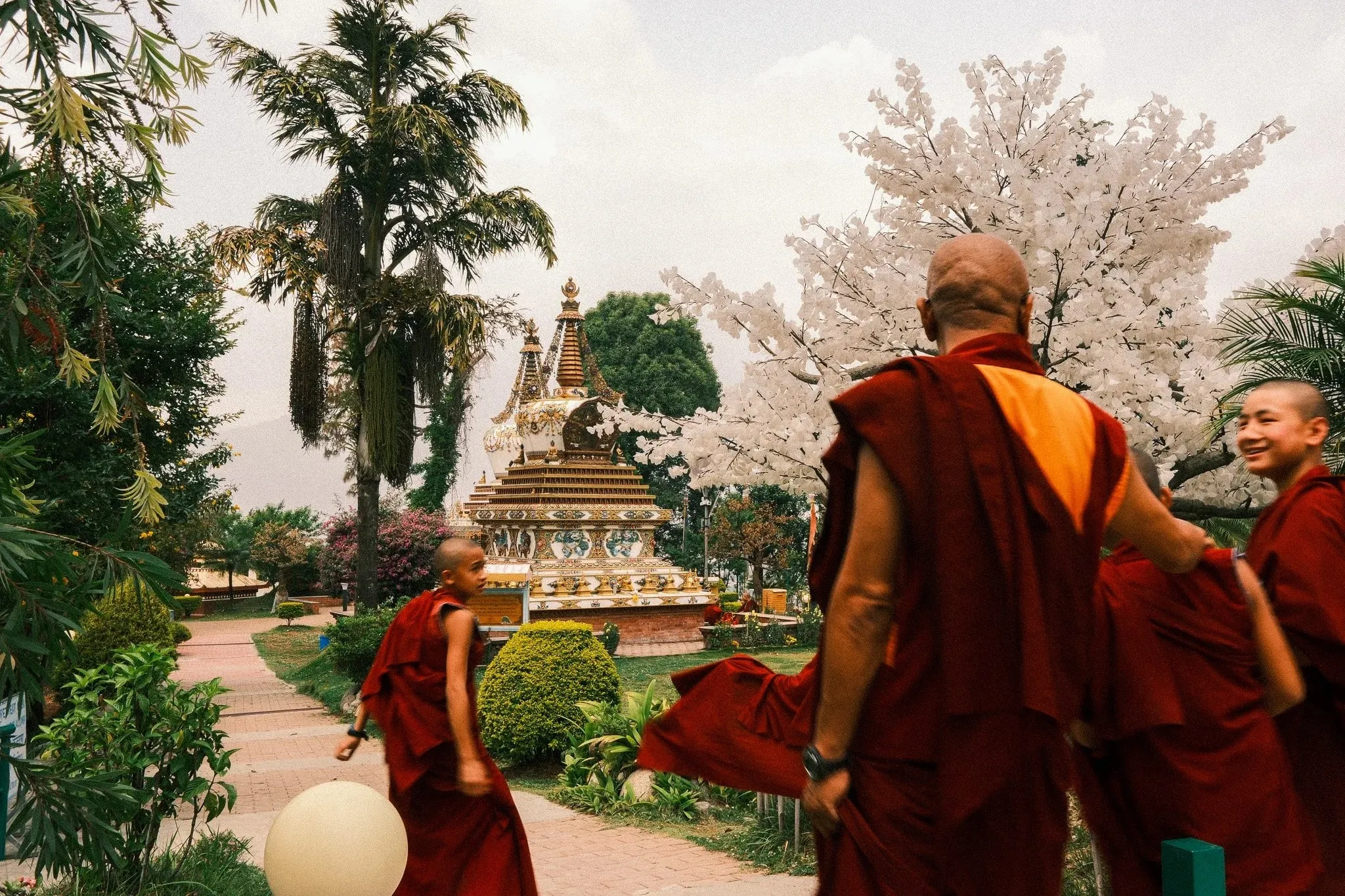 Monks in maroon robes talking in the stupa garden at Kopan Monastery, beneath a blossoming tree