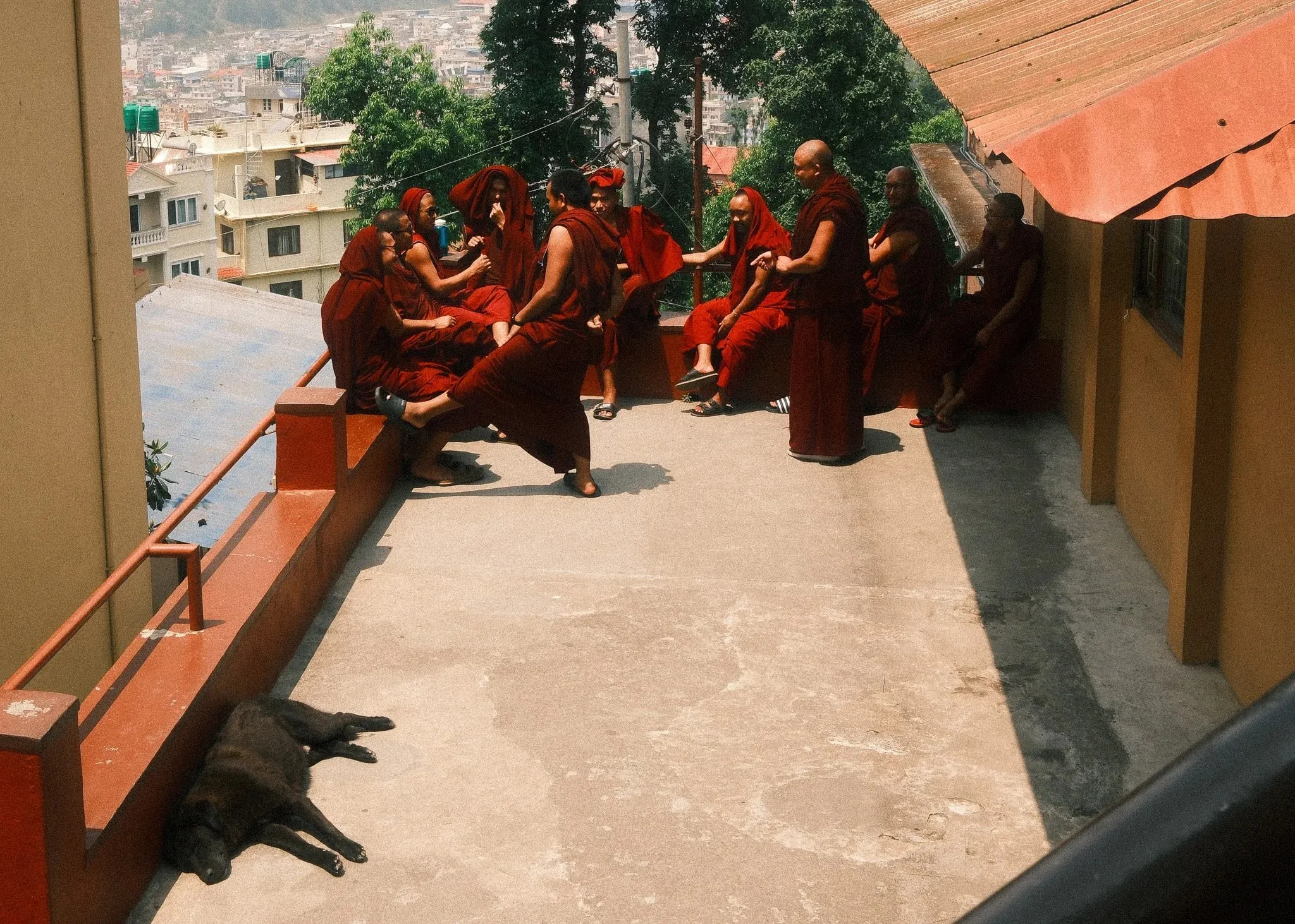 Young monks sitting together on a sunny terrace, with a dog asleep in the shade