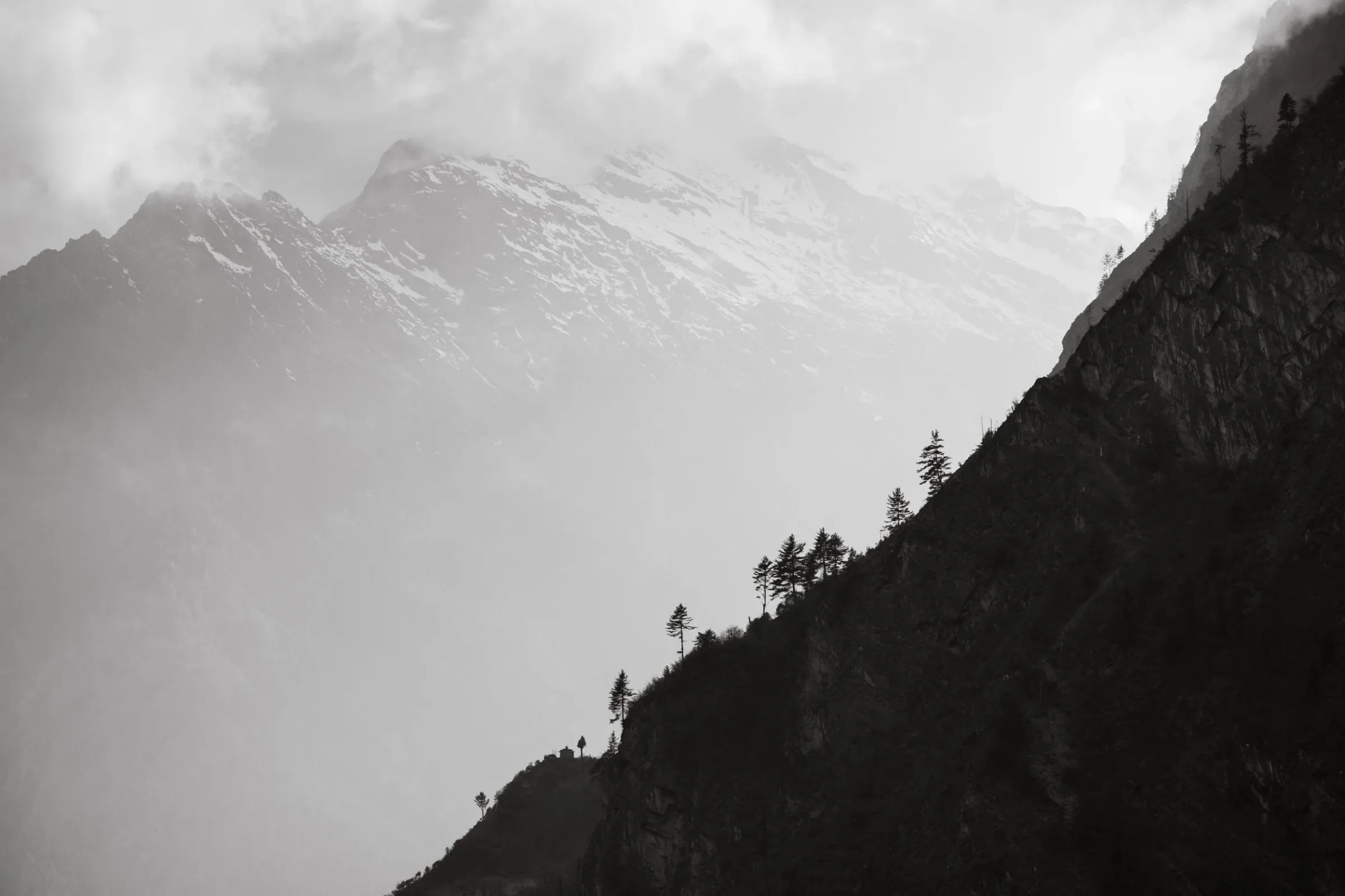 Black and white photo of a forested ridge in silhouette below a snow-capped peak
