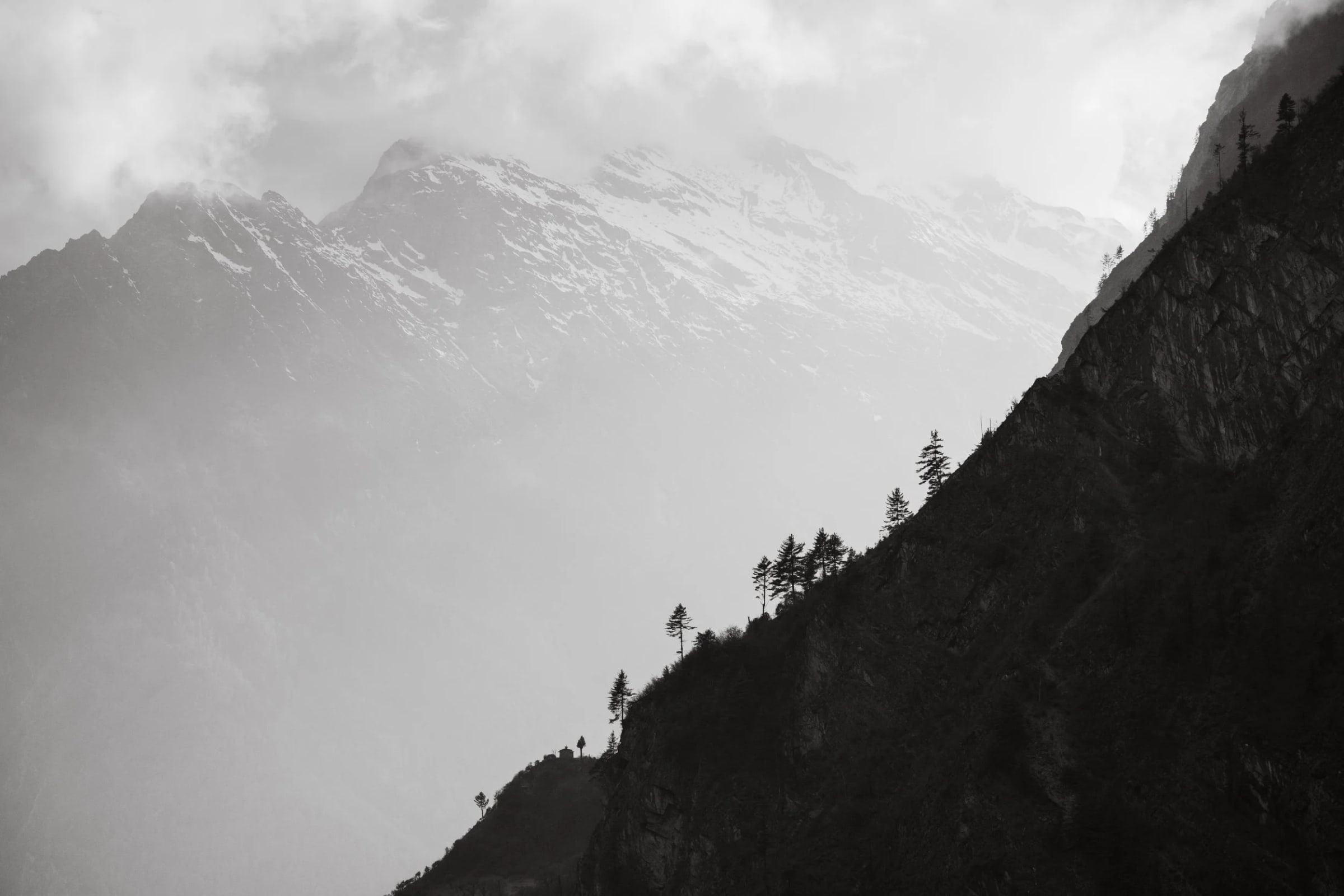 Black and white photo of a forested ridge in silhouette below a snow-capped peak