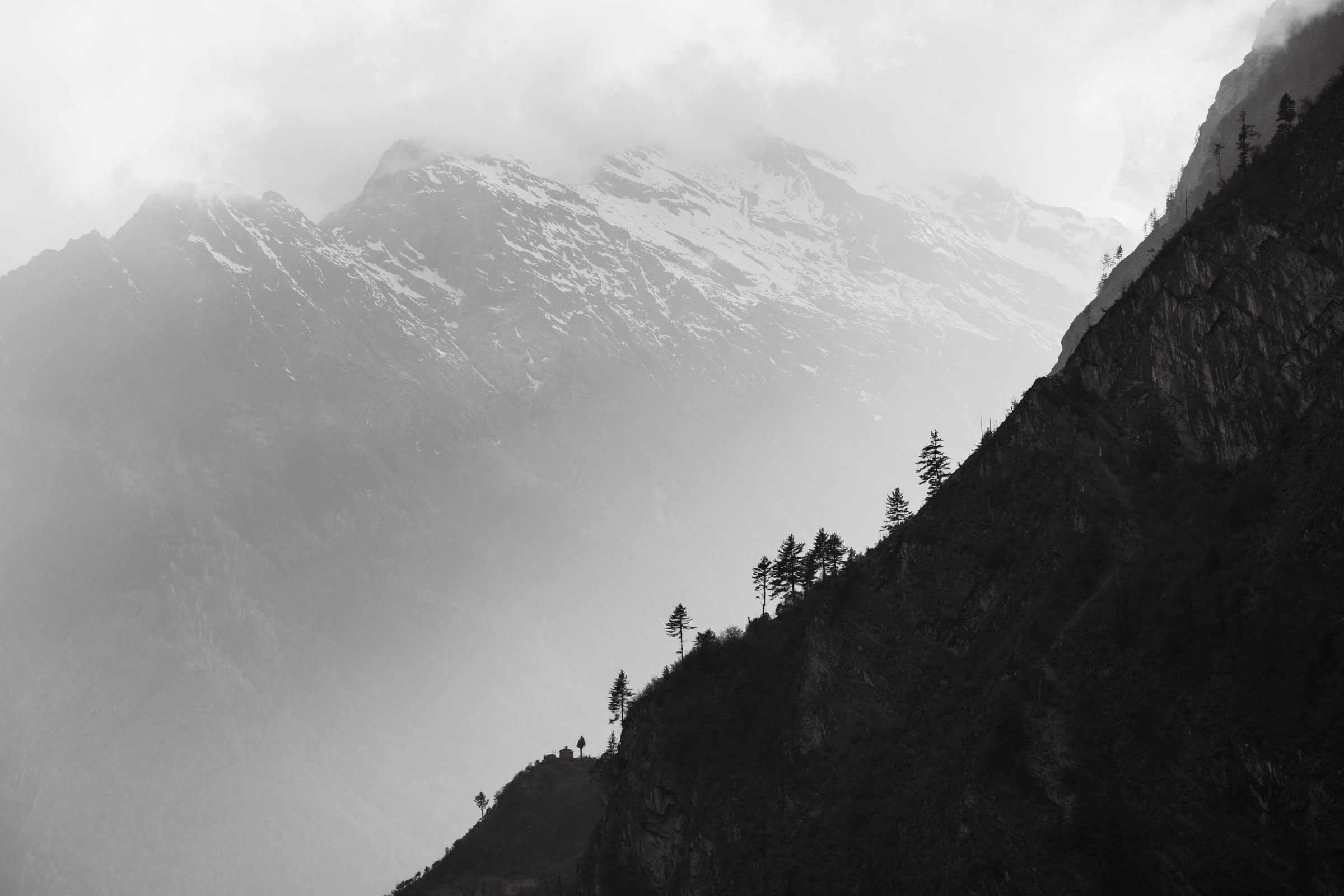 Misty mountain valley in black and white, with snow on the far peaks and pine trees along a dark ridge