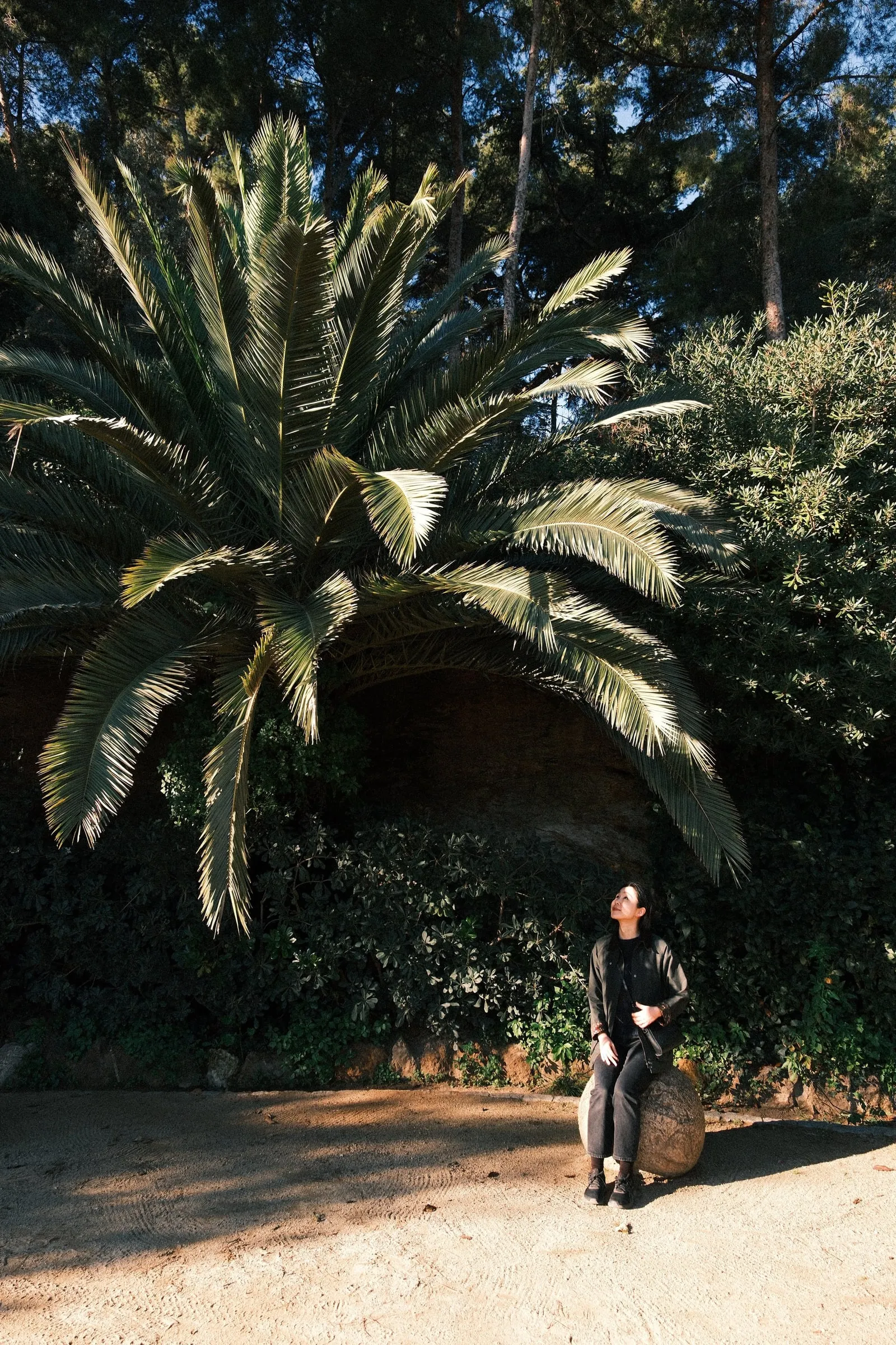 A woman sits on a stone beneath a large palm in Park Güell