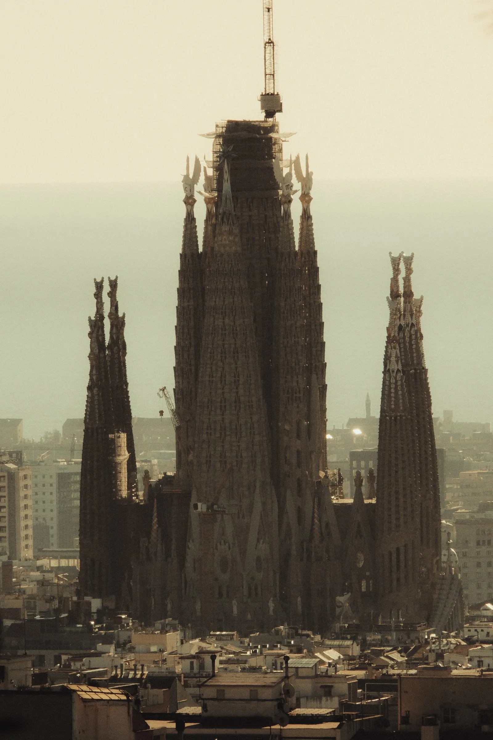 The towers and cranes of the Sagrada Família above the city haze, seen from Park Güell