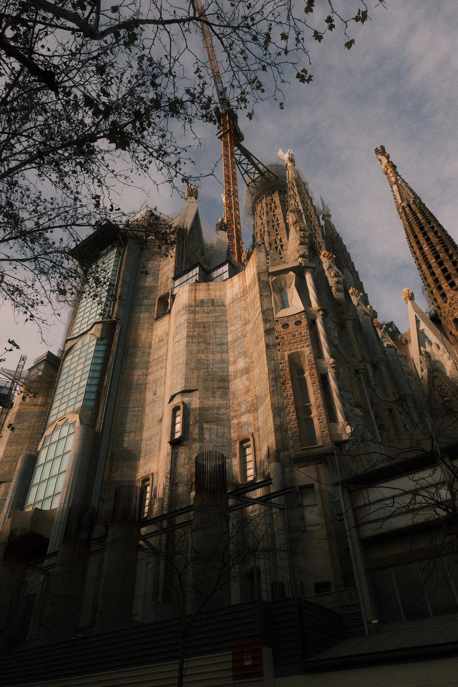 The side of the Sagrada Família under renovation, seen from below through bare branches