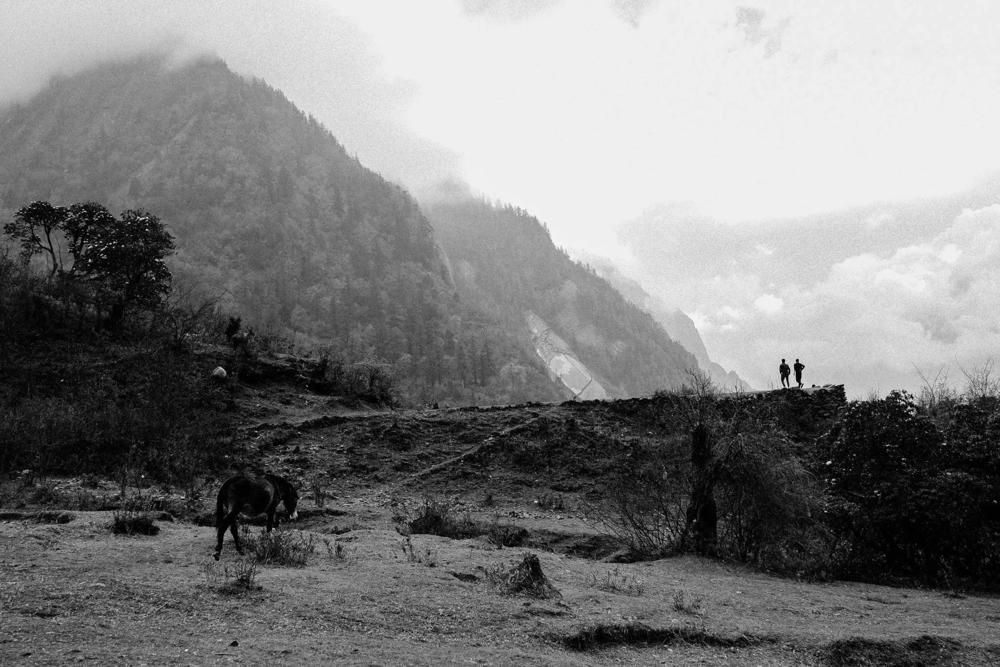 Black and white photo of a horse grazing below two figures on a ridge near Serang
