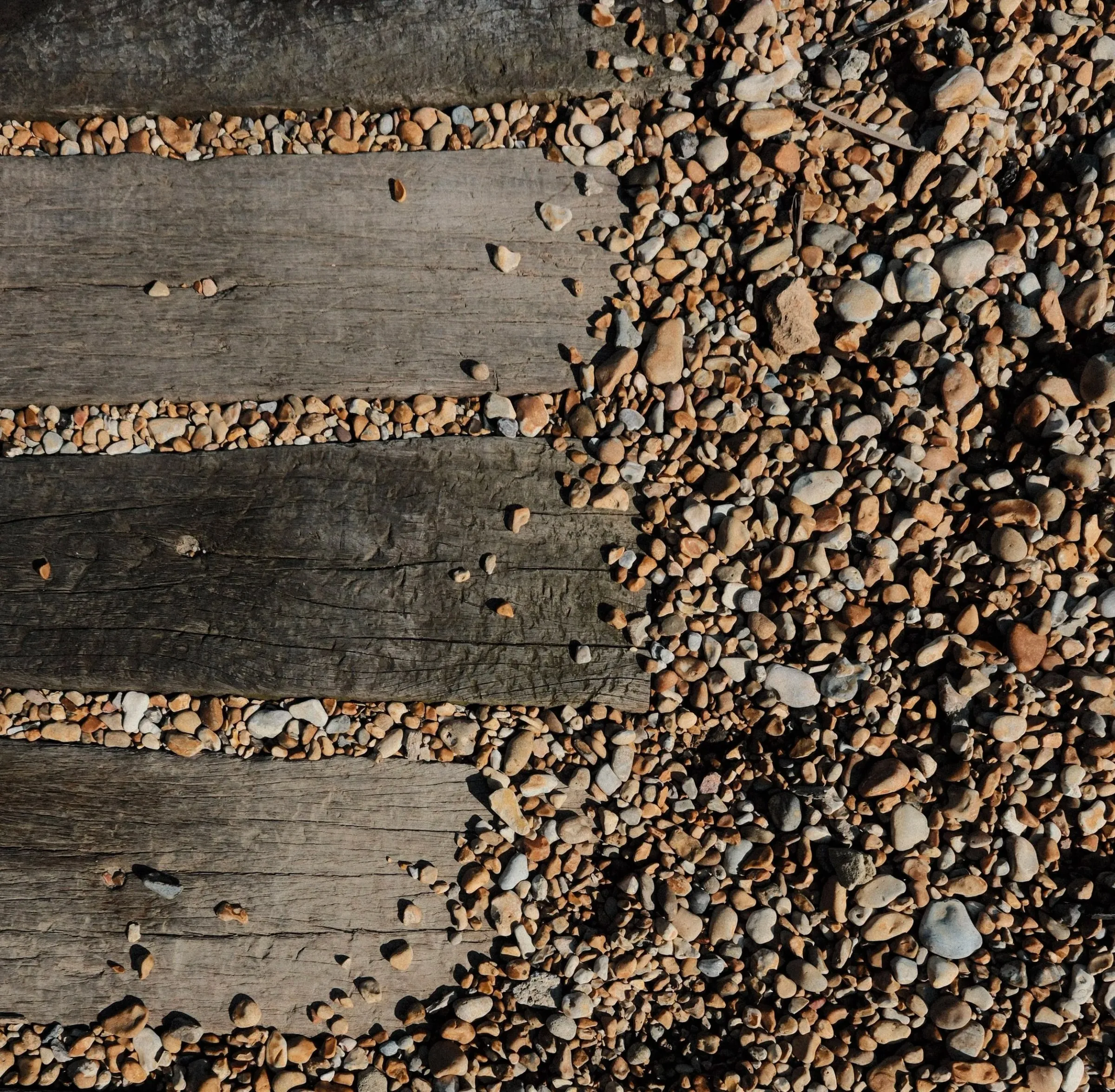 Shingle scattered across weathered wooden boards