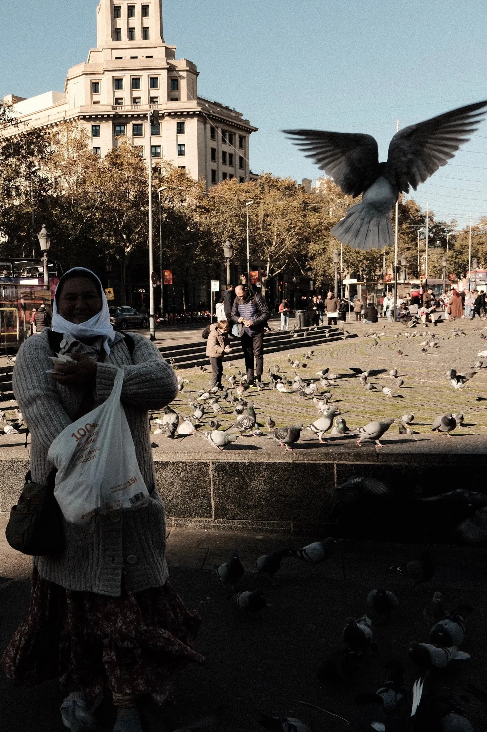A pigeon flies above a woman standing among pigeons in a sunny square in Barcelona