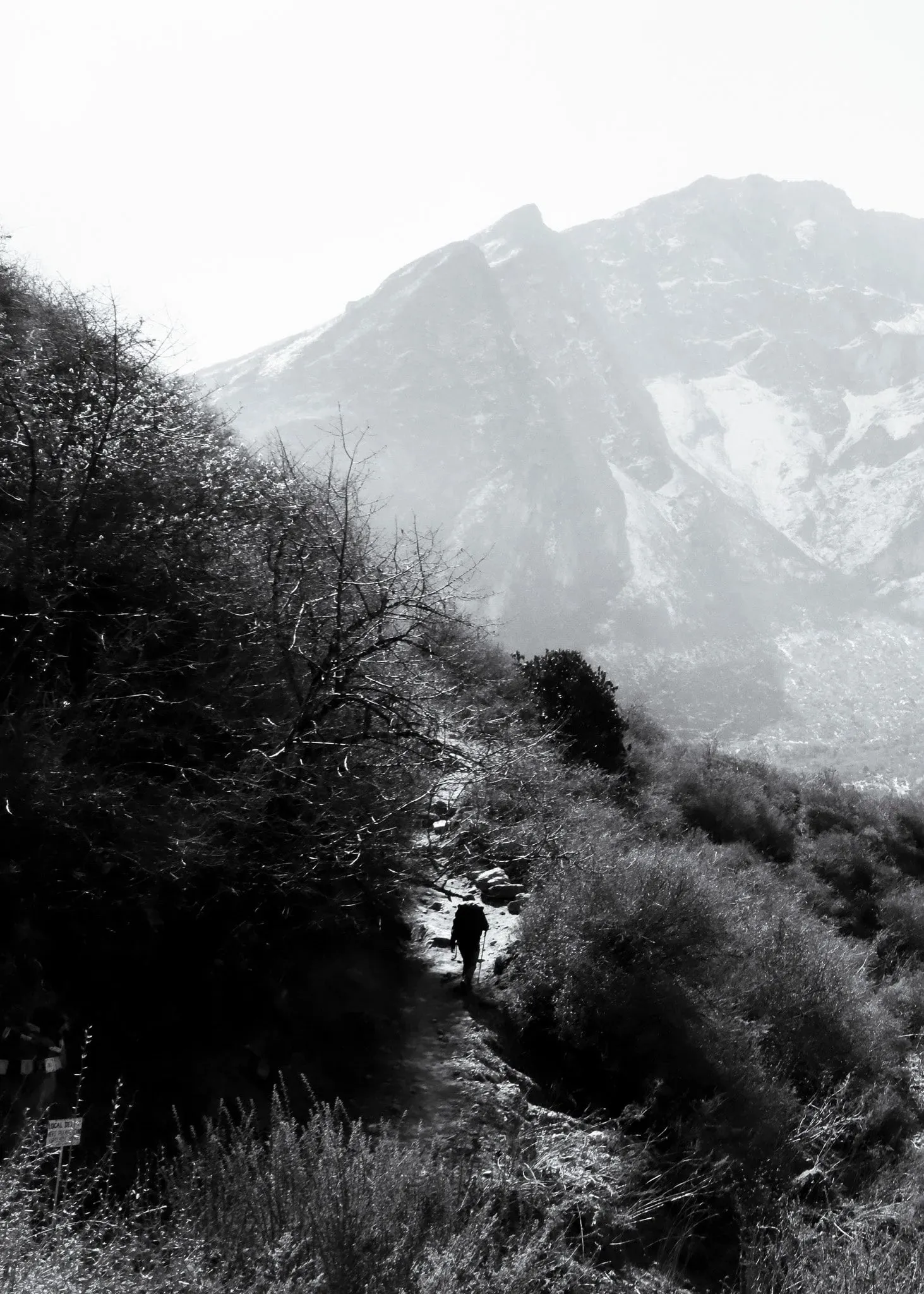 Black and white photo of a trekker on a trail through scrub beneath a mountain